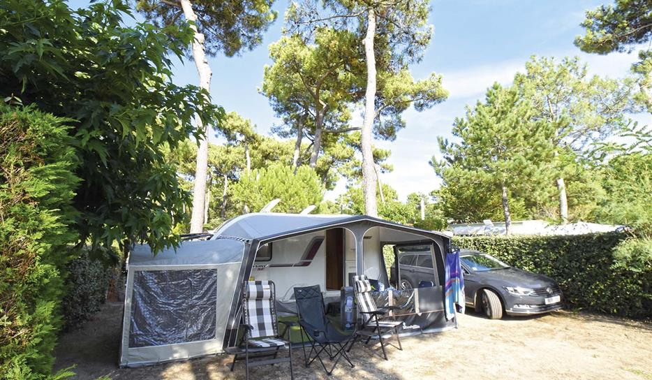 Camping Bois Soleil