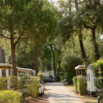 Parc Les Pins